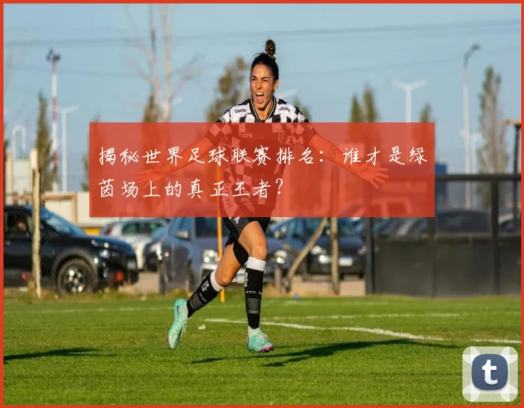 揭秘世界足球联赛排名：谁才是绿茵场上的真正王者？