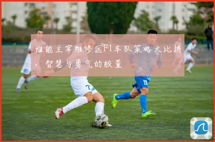 谁能主宰维修区F1车队策略大比拼，智慧与勇气的较量