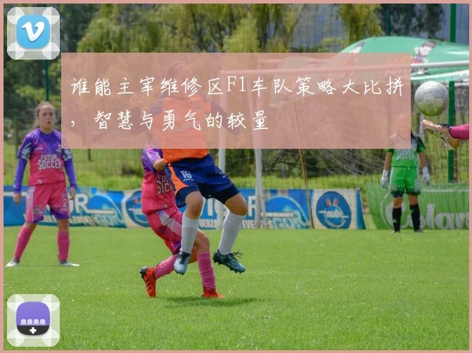 谁能主宰维修区F1车队策略大比拼，智慧与勇气的较量
